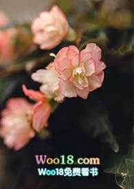 游园惊梦