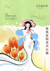 陆先生的小可怜无弹窗