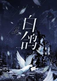 白鸽的作品