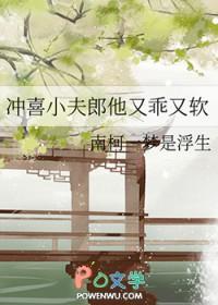 冲喜小夫郎txt水三金
