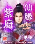 紫府仙缘全本txt电子书