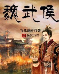 魏武侯简介