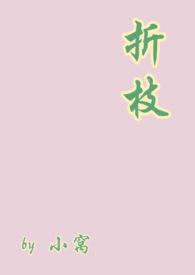 折枝是耽美吗
