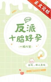 反派十胎好孕笔趣阁