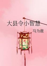 大县令小仵作全文阅读免费