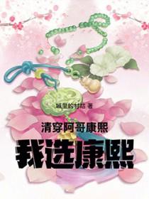 清穿康熙幼子阿哥