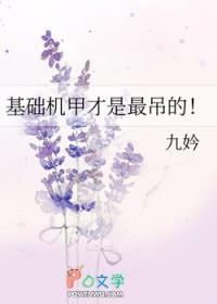 机甲都什么