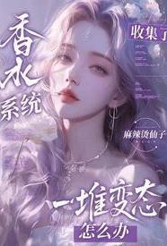 香水系统免费阅读
