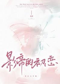 七零年代我凭着吃瓜破案