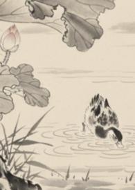 全京城都在等我扑街 最新章节 无弹窗