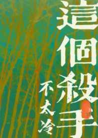 这个杀手不太冷细节讲解