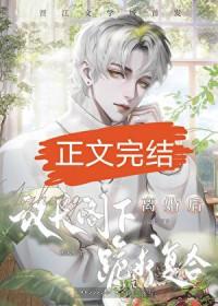 美国联邦议员
