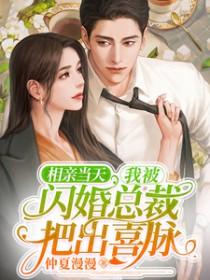 相亲认识并闪婚的总裁
