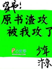 攻是原书受的文