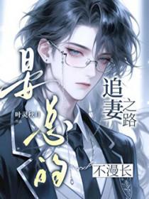 追婚 晏沥