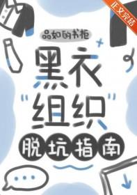 黑衣组织同人