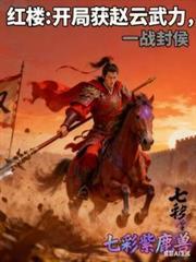 红楼开局就满级