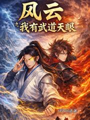 风云之武无敌