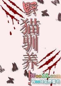 野猫驯养免费阅读全文