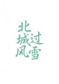 北城过风雪（高干1v1）