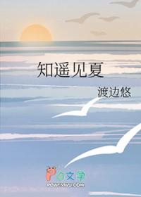 知遥见夏