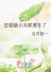 恋爱脑小夫郎重生了